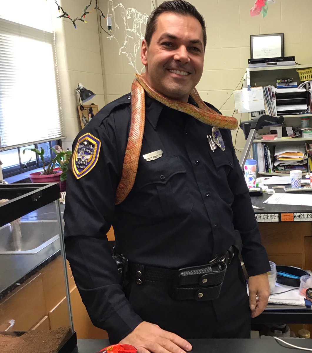 Mrs. Stengren tweet media