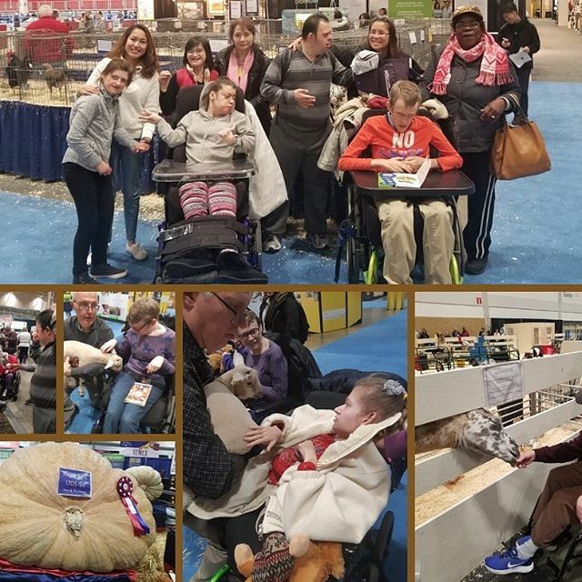 HarmonyPlaceSS's tweet photo. We had a great time visiting the The Royal Agricultural Winter Fair this week! #royalwinterfair https://t.co/aF28Ym6fQr https://t.co/v1S8ug631Z