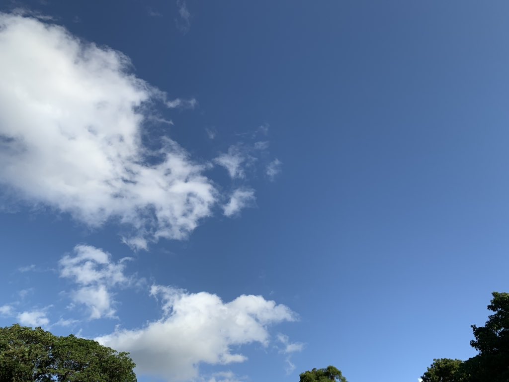 CHRIS_ryukyu's tweet image. おはよございます。
行ってきます！