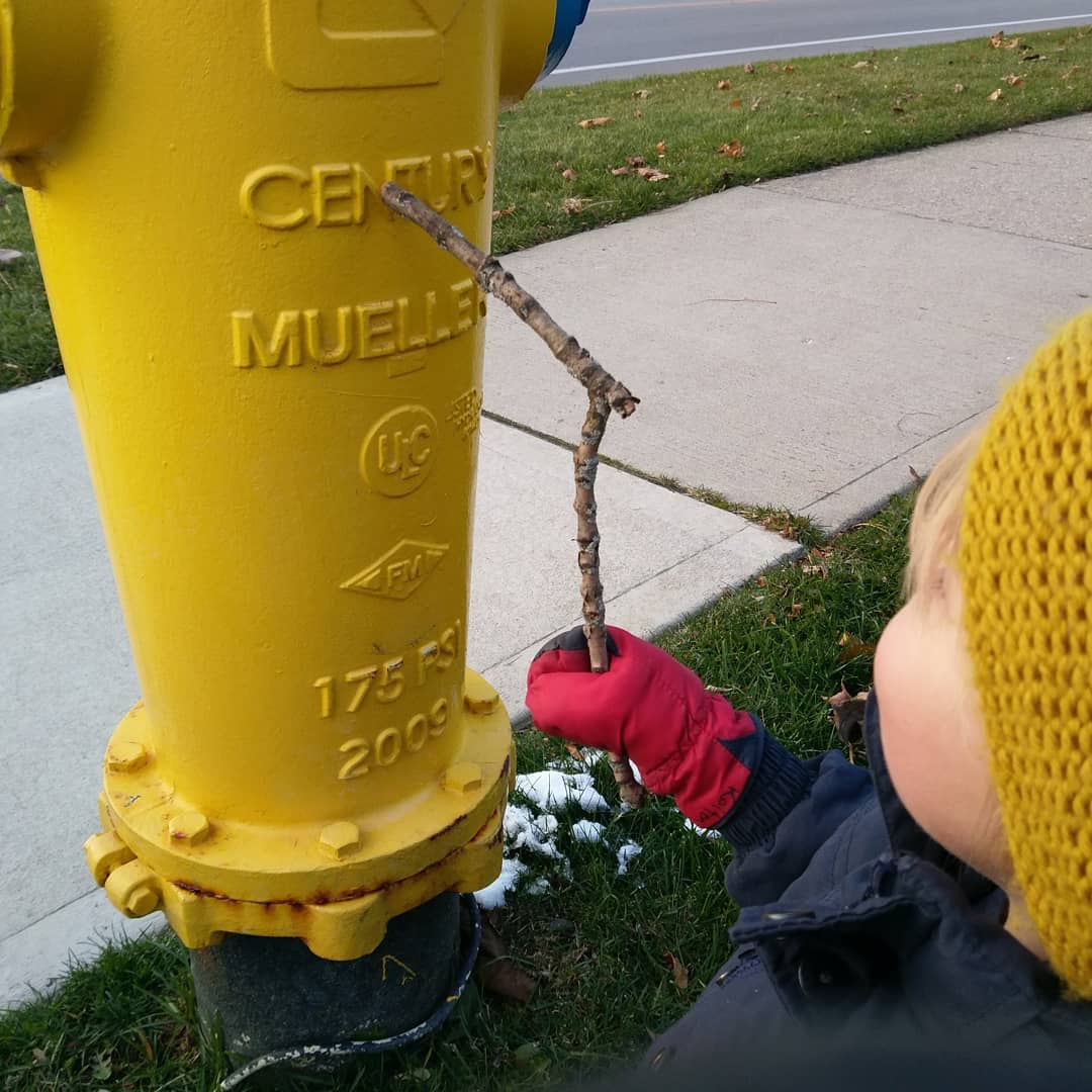 'That letter my name!' On our way home from school Nico spotted letters on the fire hydrants and signs, N I C O in particular. #letterawareness #reallifereading #emergentreader