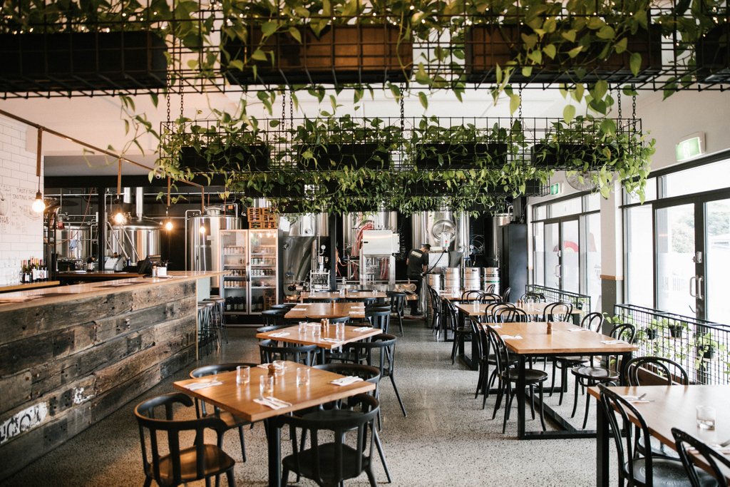 The quiet before the storm. Our brewery and restaurant looks so peaceful early in the morning. We can't wait until we open our doors each day and you join us for a beer! It is what we live for!