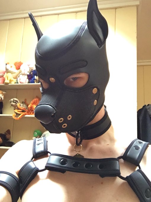 Sometimes I get stuck in a rut for content. FEEL FREE to dm me with sexy photoshoot ideas and I&rsquo;ll try<a href="/tag/blowjob"class="tags"><span>#blowjob</span></a><a href="/tag/deepthroat"class="tags"><span>#deepthroat</span></a><a href="/tag/gayporn"class="tags"><span>#gayporn</span></a><a href="/tag/humanpup"class="tags"><span>#humanpup</span></a>