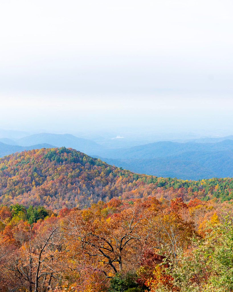 HSSCtweets's tweet image. Whoo, #SouthCarolina, you're lookin' great. :) RT @SCDNR: The Upstate really puts on a show this time of year. 😍🍁🍂 #exploreSC #hikeSC #lovewhereyoulive