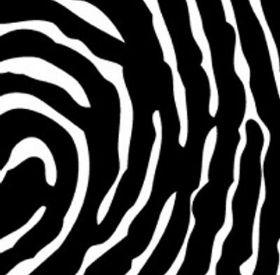 PropertyOfZack turns ten years old today. The little blog that could, and did. I hope to have something written and published on the site soon. To celebrate and to thank you.