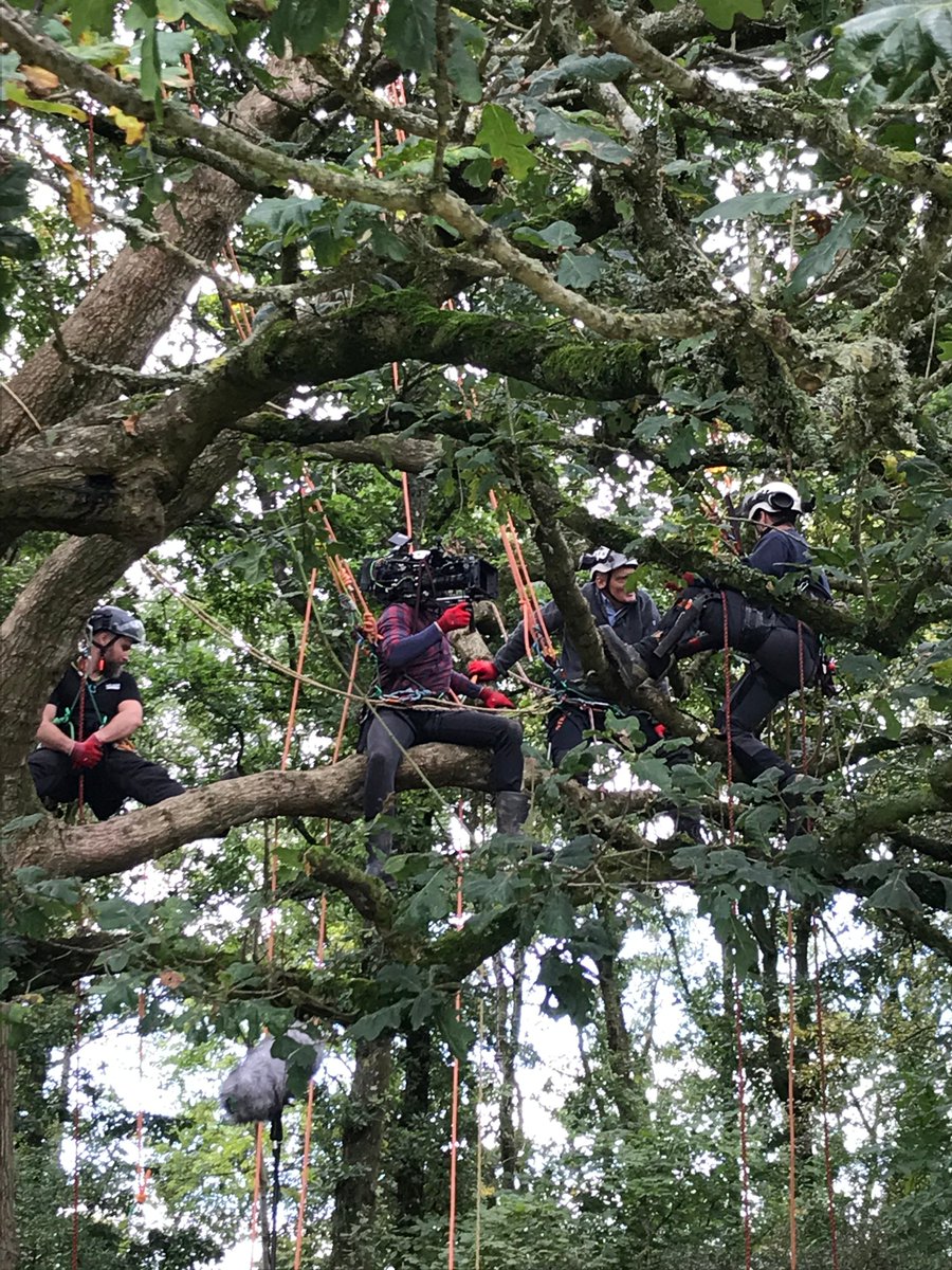 Anna Baker Cresswell tweet media