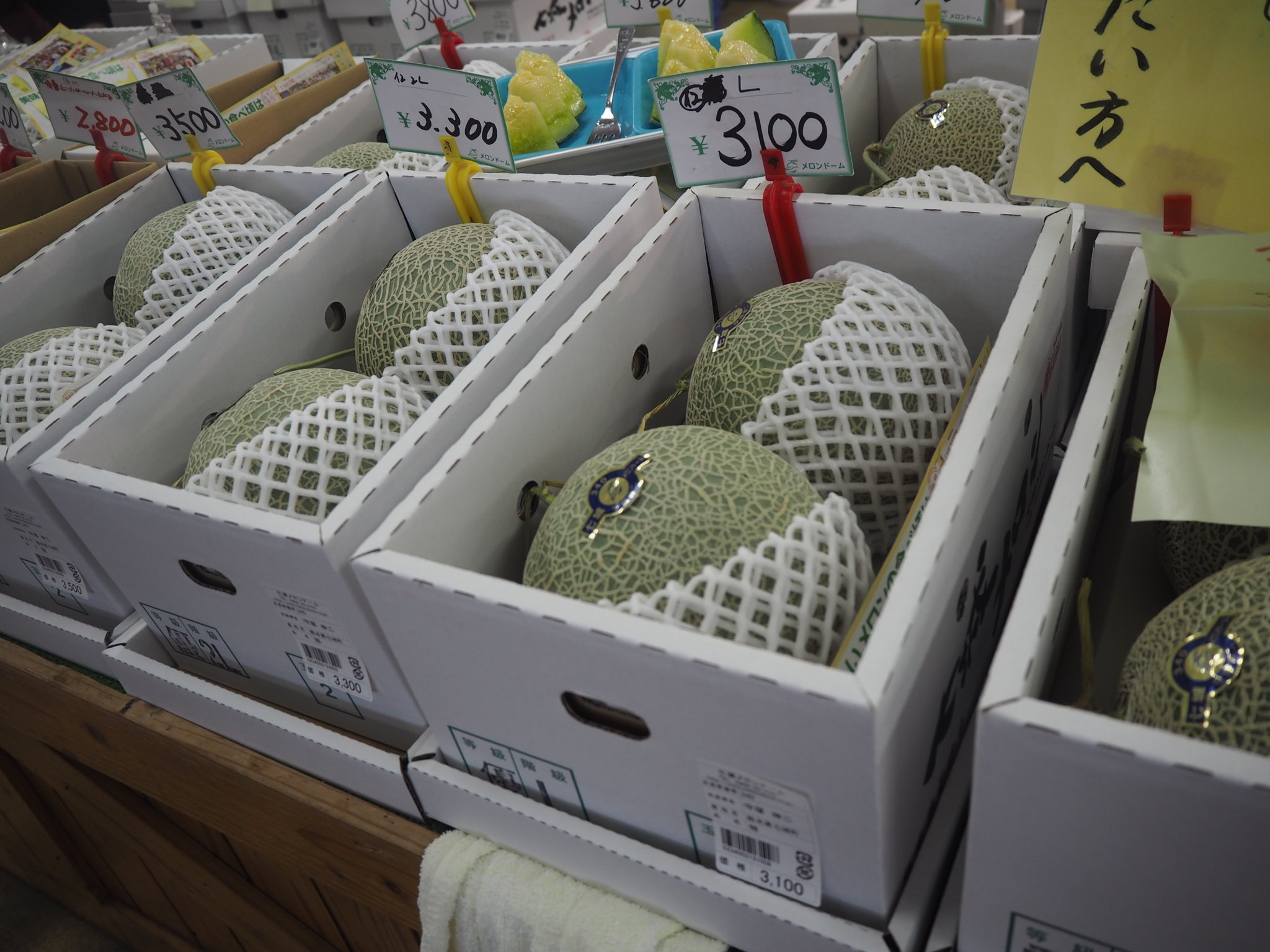 メロンドーム Twitter Search Twitter