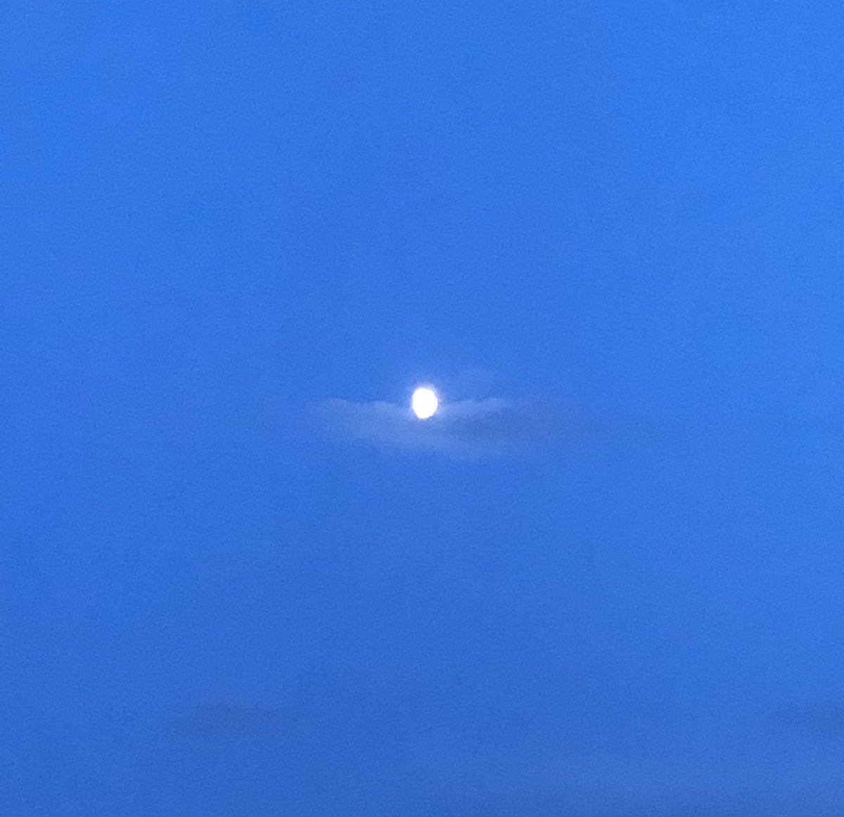 Andrew (@andrewabbq) on Twitter photo 