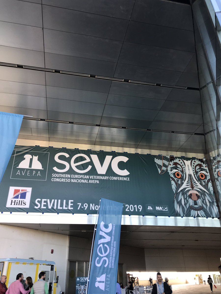 Sevc2019 Hashtag On Twitter