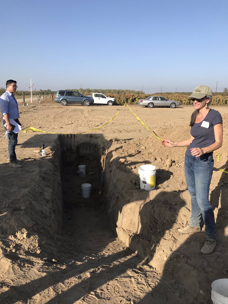 Leslie Holland, PhD (@leslieholland_) on Twitter photo The UC Almond Production Field Day was a success! Planting, pruning, irrigation, insects, and so much more!
<a href="/ucanr/">Ag&Natural Resources</a> <a href="/UCCESanJoaquin/">UCCE San Joaquin</a> <a href="/AdvisorKat/">Kat Jarvis-Shean</a> <a href="/Hwy20orchardoc/">Franz Niederholzer</a> <a href="/uccefresno_nuts/">Mae Culumber</a> The UC Almond Production Field Day was a success! Planting, pruning, irrigation, insects, and so much more!
<a href="/ucanr/">Ag&Natural Resources</a> <a href="/UCCESanJoaquin/">UCCE San Joaquin</a> <a href="/AdvisorKat/">Kat Jarvis-Shean</a> <a href="/Hwy20orchardoc/">Franz Niederholzer</a> <a href="/uccefresno_nuts/">Mae Culumber</a>