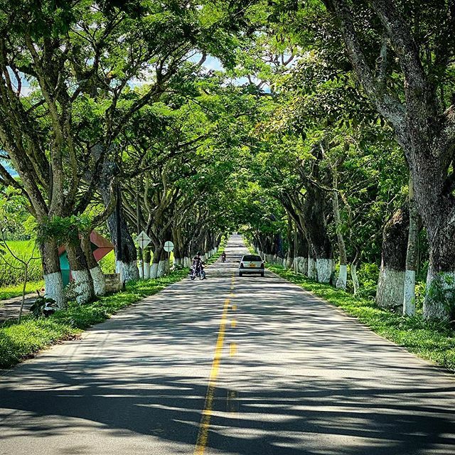 favian142's tweet photo. I love driving threw this area in #Colombia #viterbo #caldas #ejecafetero https://t.co/NS2McE2lSv