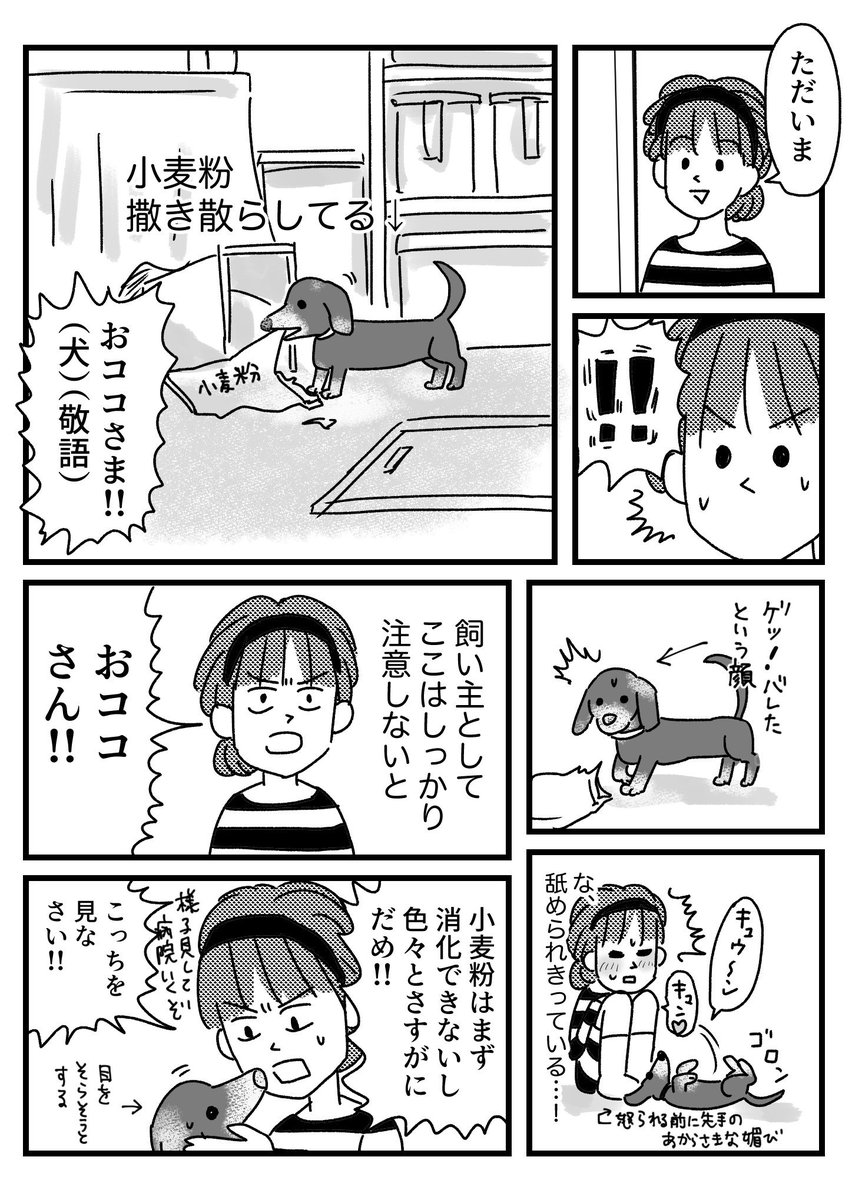 犬が悪いことした時の話 
おまけはブログに→

1叱って100褒めたいけど犬には101迷惑 