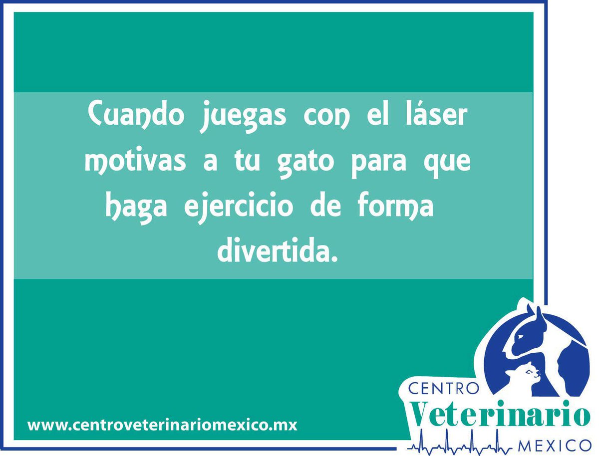CentroVeterinarioMex tweet media