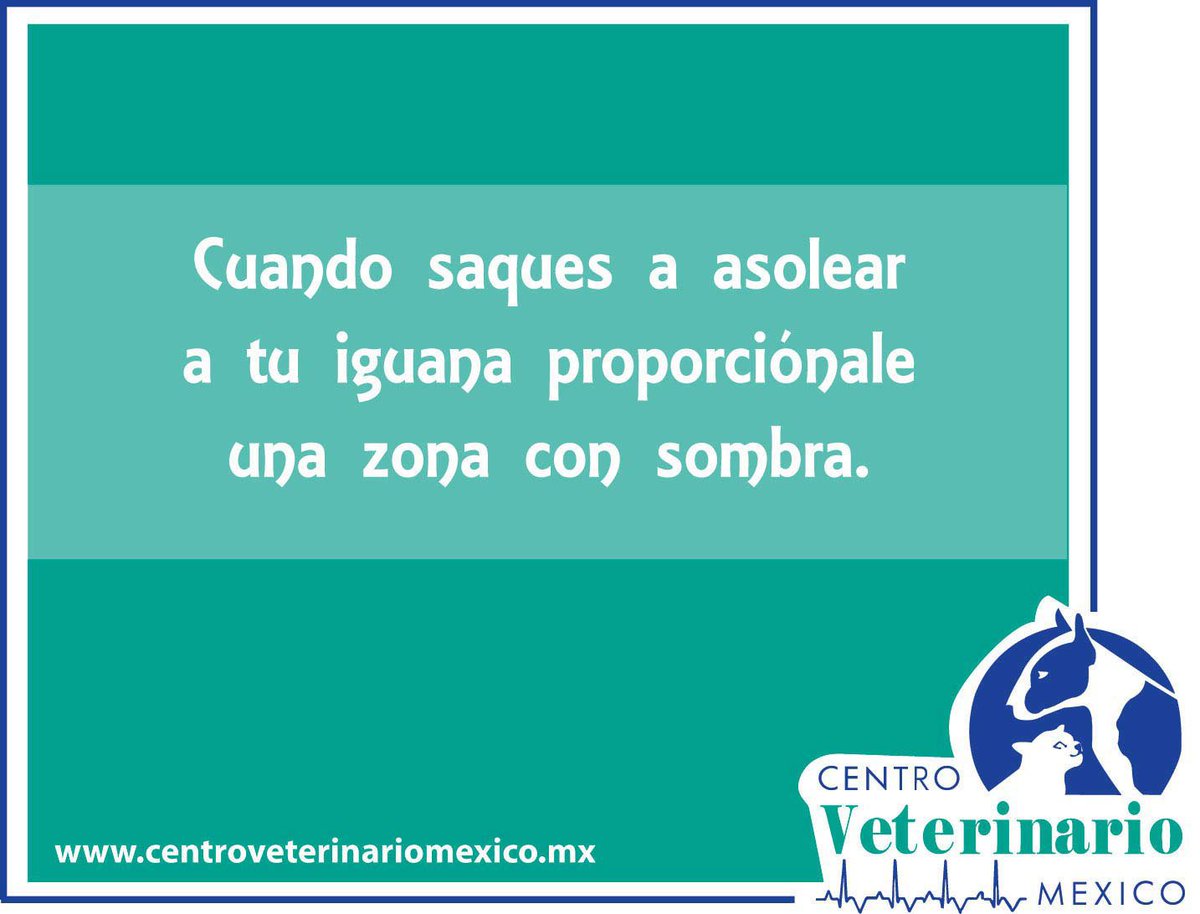 CentroVeterinarioMex tweet media