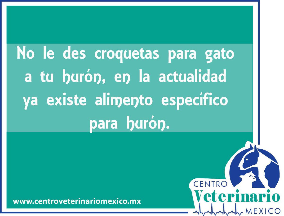 CentroVeterinarioMex tweet media