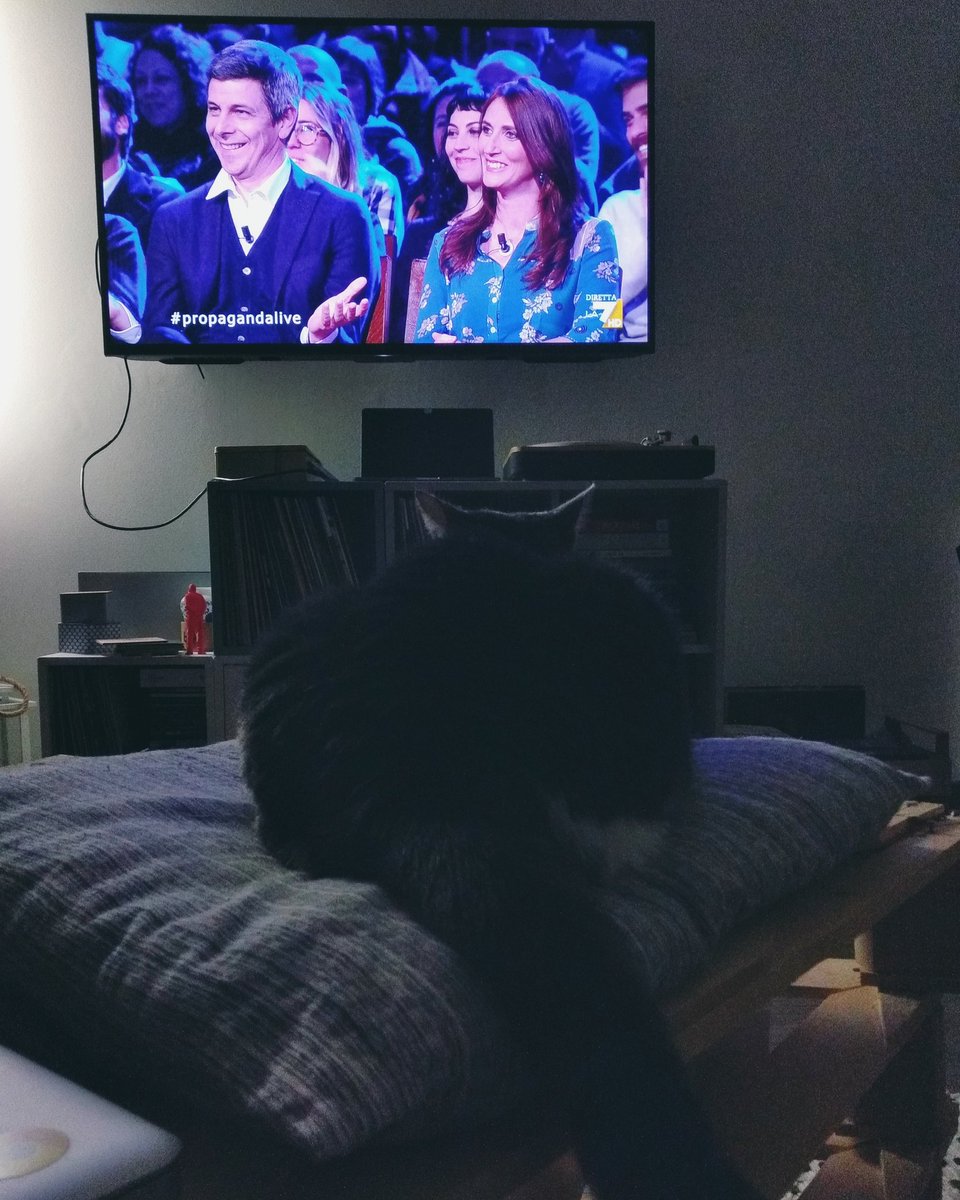 valeriegennarie's tweet photo. o puglia puglia mia tu puglia miaaa
#propagandalive https://t.co/c5nHgxkMuK