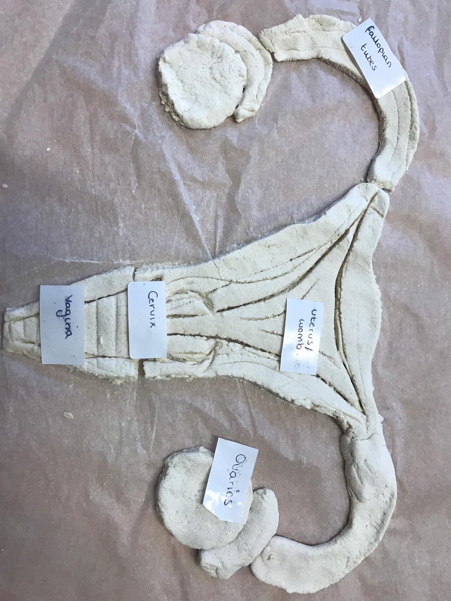 Mrs Adams tweet media