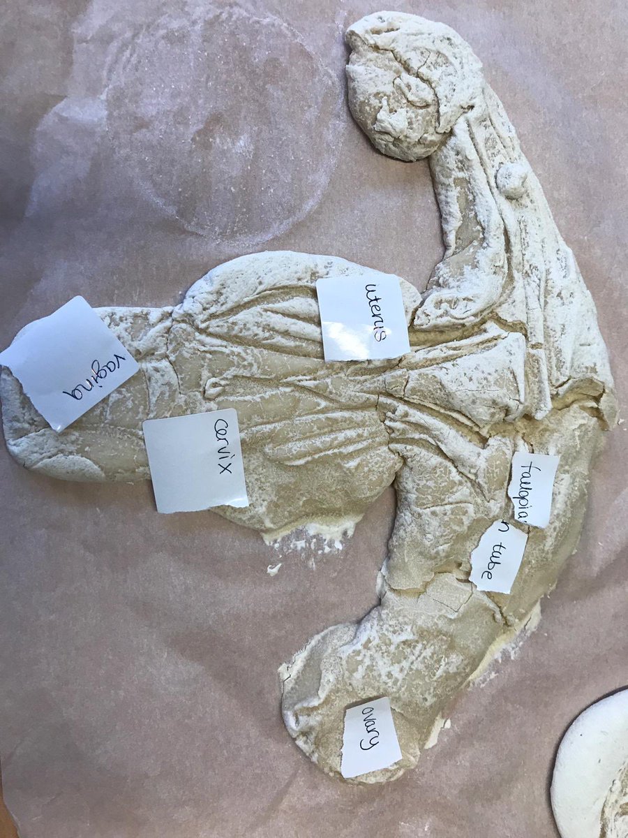 Mrs Adams tweet media