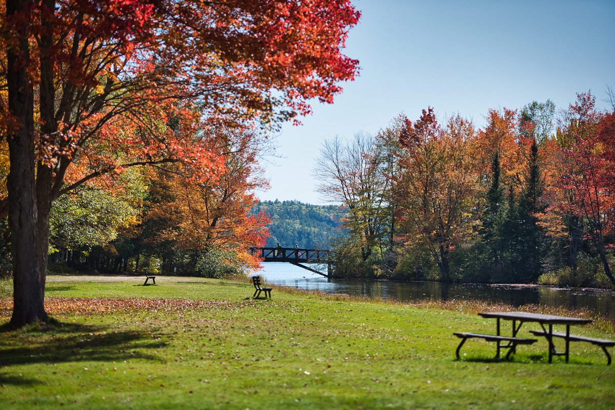 Ontario veterans and members of the Canadian Armed Forces can now enjoy free day-use at our provincial parks on weekdays!