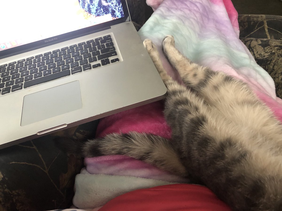 EarsofMiggy's tweet image. Miggy helping me work.