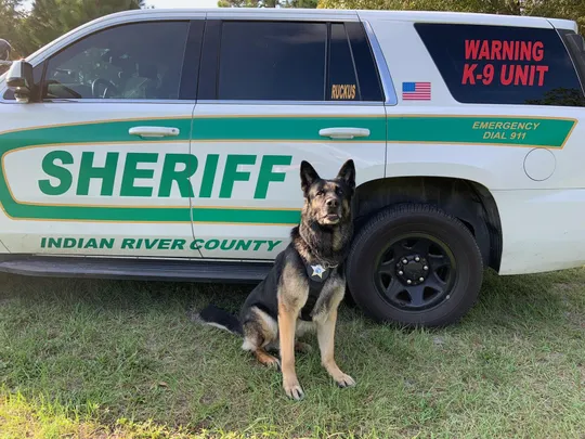 Indian River County deputy injured protecting K9
🙏Generally it's the other way. Strong bond in here. Wishing a prompt recovery to Deputy Ryan Holly.
tcpalm.com/story/news/cri…
#Conan #ZeroBarkThirty #K9 #police #WarOnDrugs #LivePD 
<a href="/LivePDNation/">Benny</a> <a href="/OfficialLivePD/">Live PD on A&E</a>