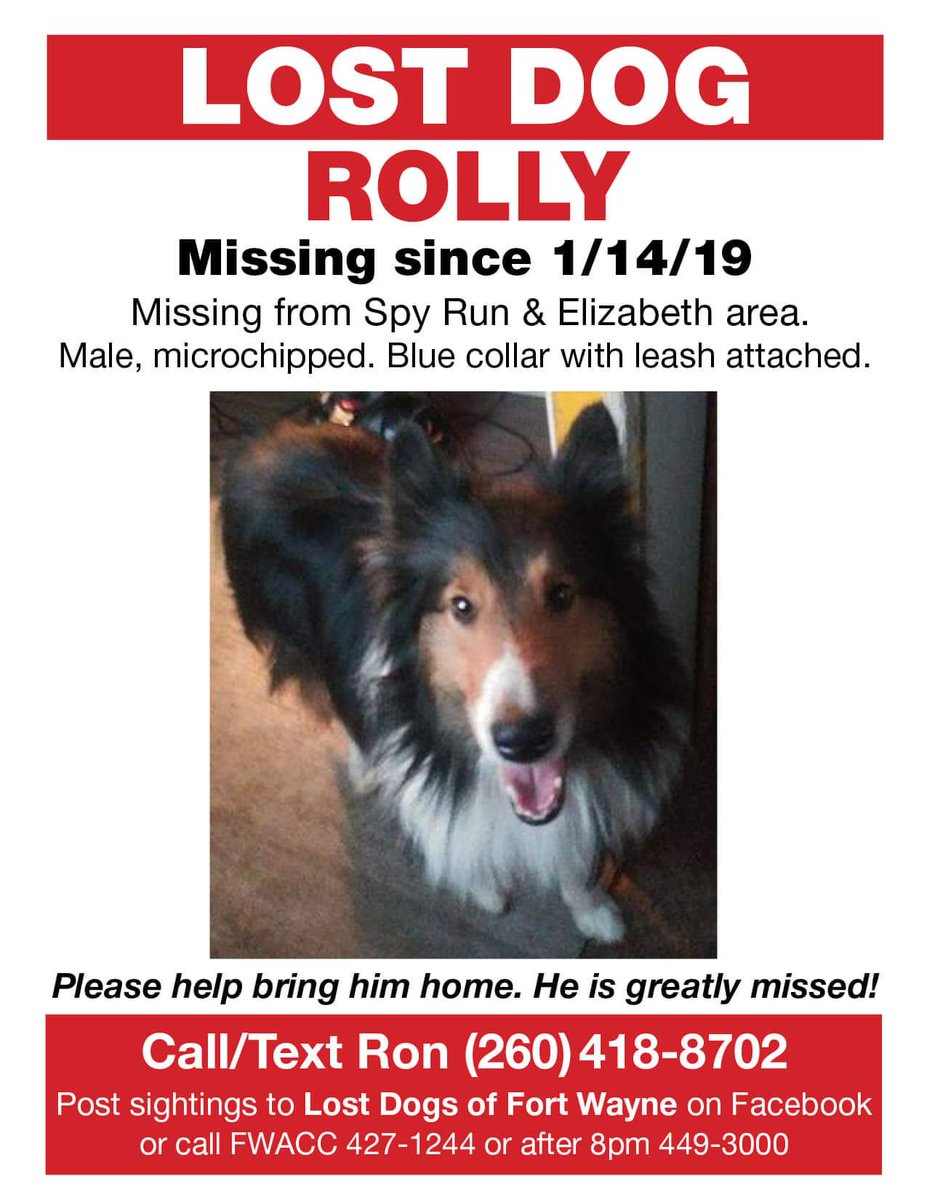 @rosieDoc2 @StoneyStanton @bs2510 @JoDeanoSmith @VetsGetScanning @pettheftaware @MissingPetsGB @Kazzy525 @RachaelB100 @Lorrain90964806 @SummerBreezeUS Praying for her safe return along with my dog, Rolly who was stolen.  Hope God keeps her safe & you find her quickly.