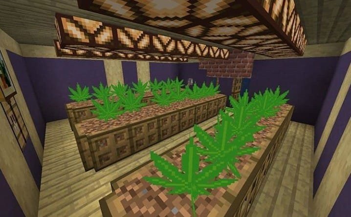 Aldeões do Minecraft on X: notas pra minha plantação de hortelã