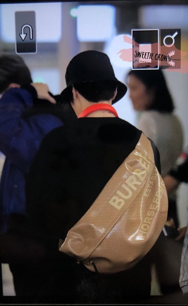 extra large horseferry print coated canvas bag