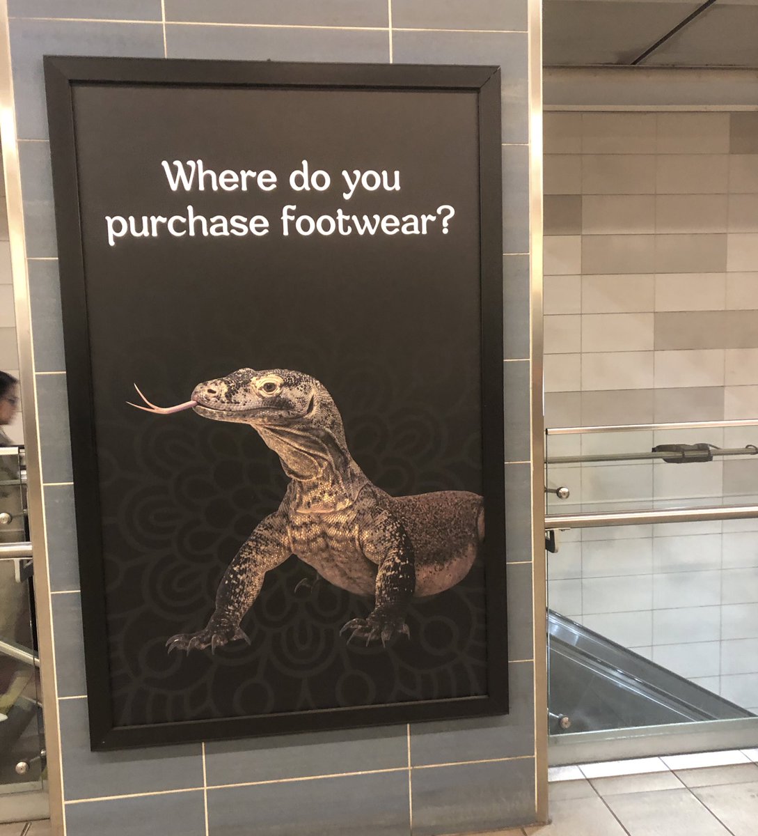 criedwolves's tweet image. 