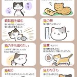 あなたはいくつ知ってる？日本と海外の猫に関することわざ12選!