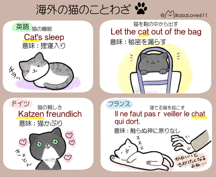 あなたはいくつ知ってる？日本と海外の猫に関することわざ12選！