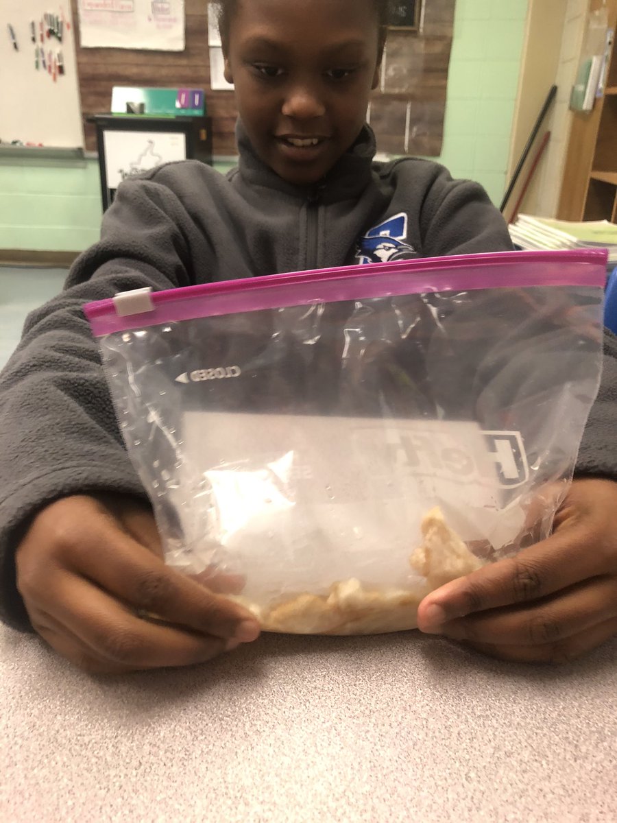 Bread In a Bag!!! Digestive system working through the 4th grade!! #sciencetwitter #scienceisfun #4thgrade #handsonlearning #STEMDay2019