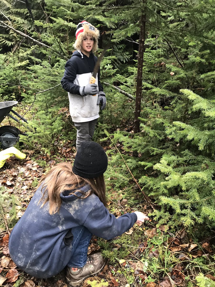 flmccoubrey's tweet image. And this.  Students set up a plot I’ll use with future classes to measure carbon sequestration in a fuel managed forest.  We thinned the plot, chose sample trees and measured their circumference. #gavinlake #baselinedata #climatechangeadaptation #handsonscience @EEPSA @C2C_BC