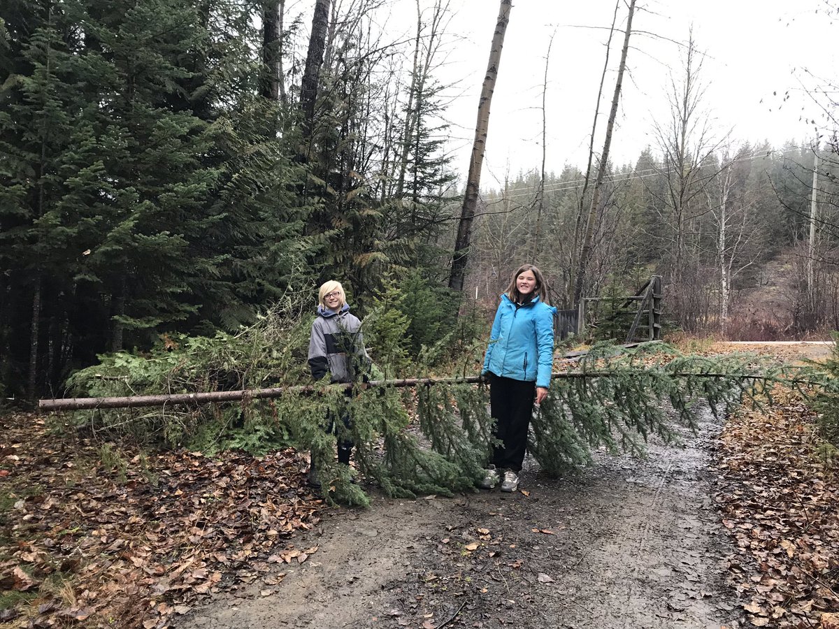 flmccoubrey's tweet image. And this.  Students set up a plot I’ll use with future classes to measure carbon sequestration in a fuel managed forest.  We thinned the plot, chose sample trees and measured their circumference. #gavinlake #baselinedata #climatechangeadaptation #handsonscience @EEPSA @C2C_BC