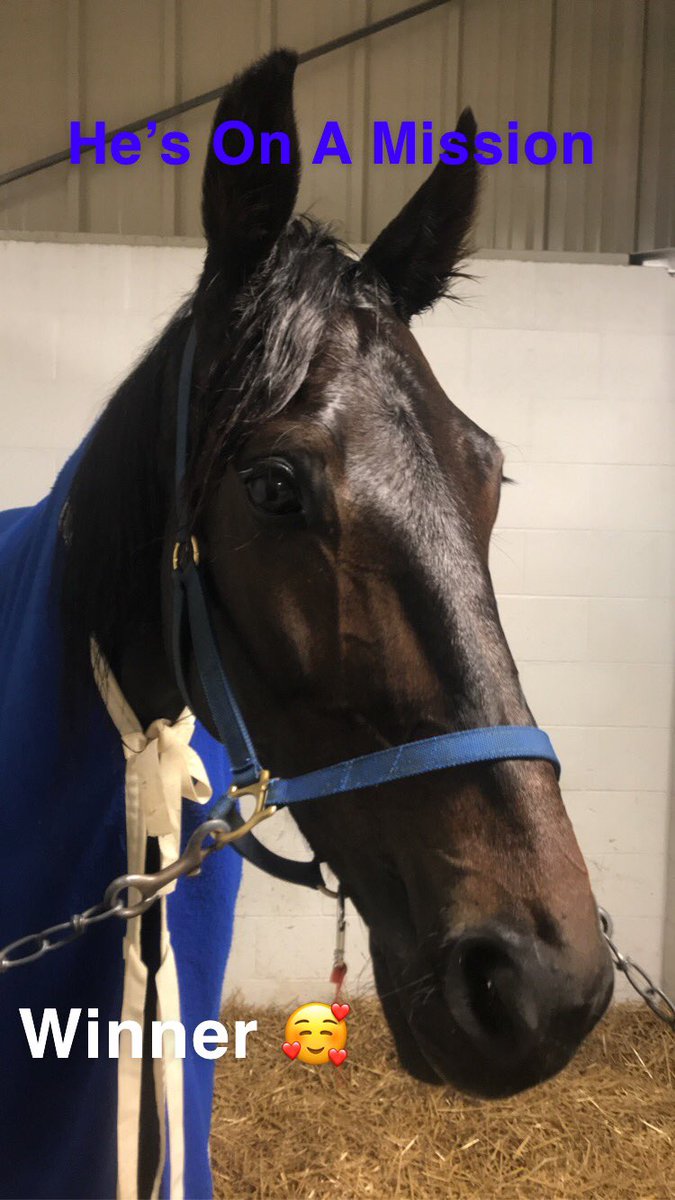 RuddickStables's tweet image. So proud of this boy! Winner in Race 4 @HollywoodDayton Thank you to @jsuttonracing for a perfect drive! Did you pick us this week @That1BarryGuy ??? #HesOnAMission #lovehim #GoMissionGo
