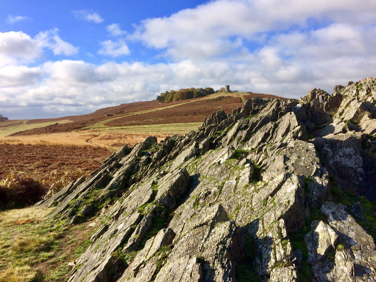 Had a great day seeing my first Ediacaran fossils in the field at the beautiful Charnwood Forrest! #FossilFriday