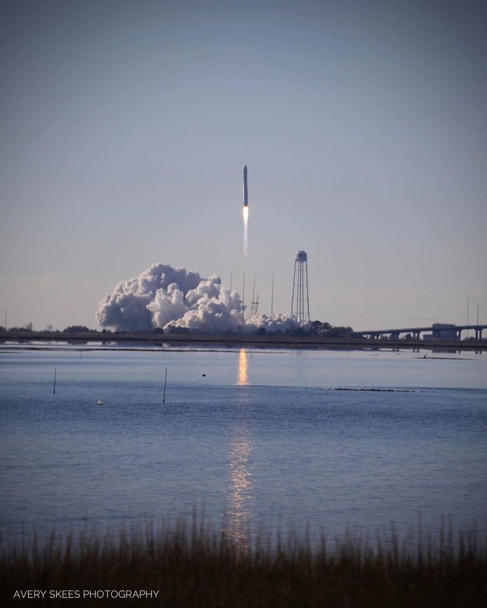 757collective's tweet image. Cygnus Antares CRS12 Space Station Resupply launch from #wallopsflightfacility. Photo by @averyskees
---
Use #757Collective on photos taken in the 757 area code for a chance to be featured.