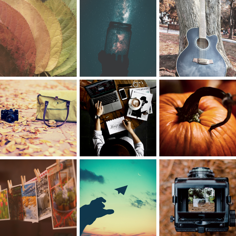 trainingleader's tweet image. Here&apos;s a Fall Creativity Moodboard to celebrate the end of a great week!

#FallCreativity #Moodboard #aesthetic #inspiration #leadership #resilience #beresilient #fallvibes #StayInspired #TGIF #StayAfloat
