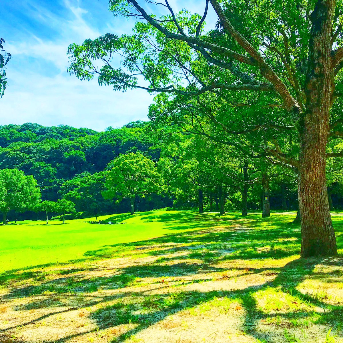 緑地 山田