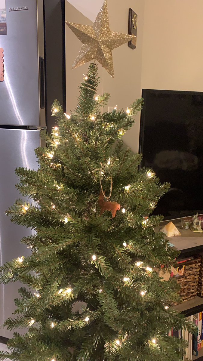 The tree is fluffed. “I fluffed for nothing?!” <a href="/_flash_flood/">Patrick Flood</a>