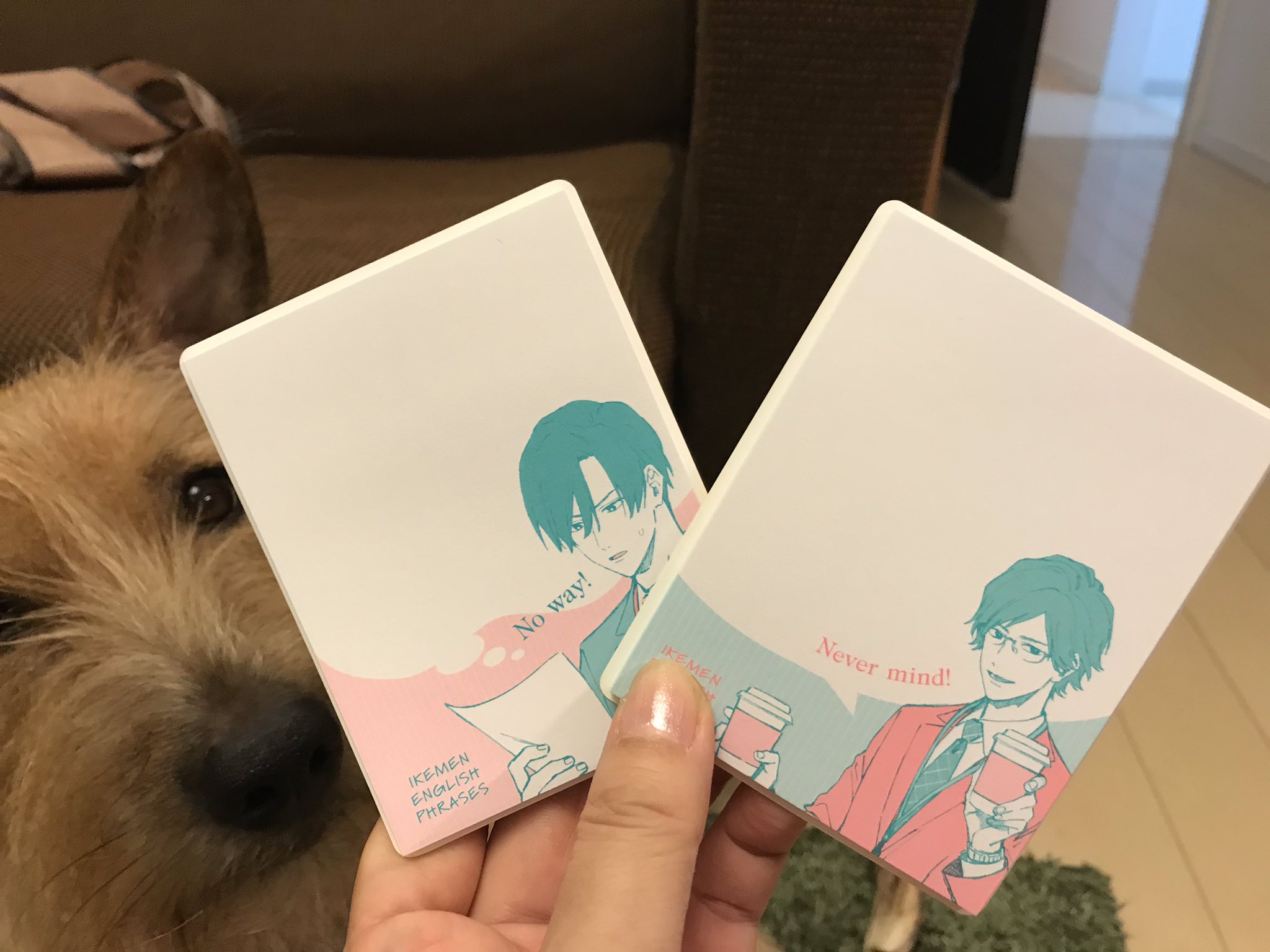 Sallyの 英語でつぶやき 例文集 Sallyeigo Twitter