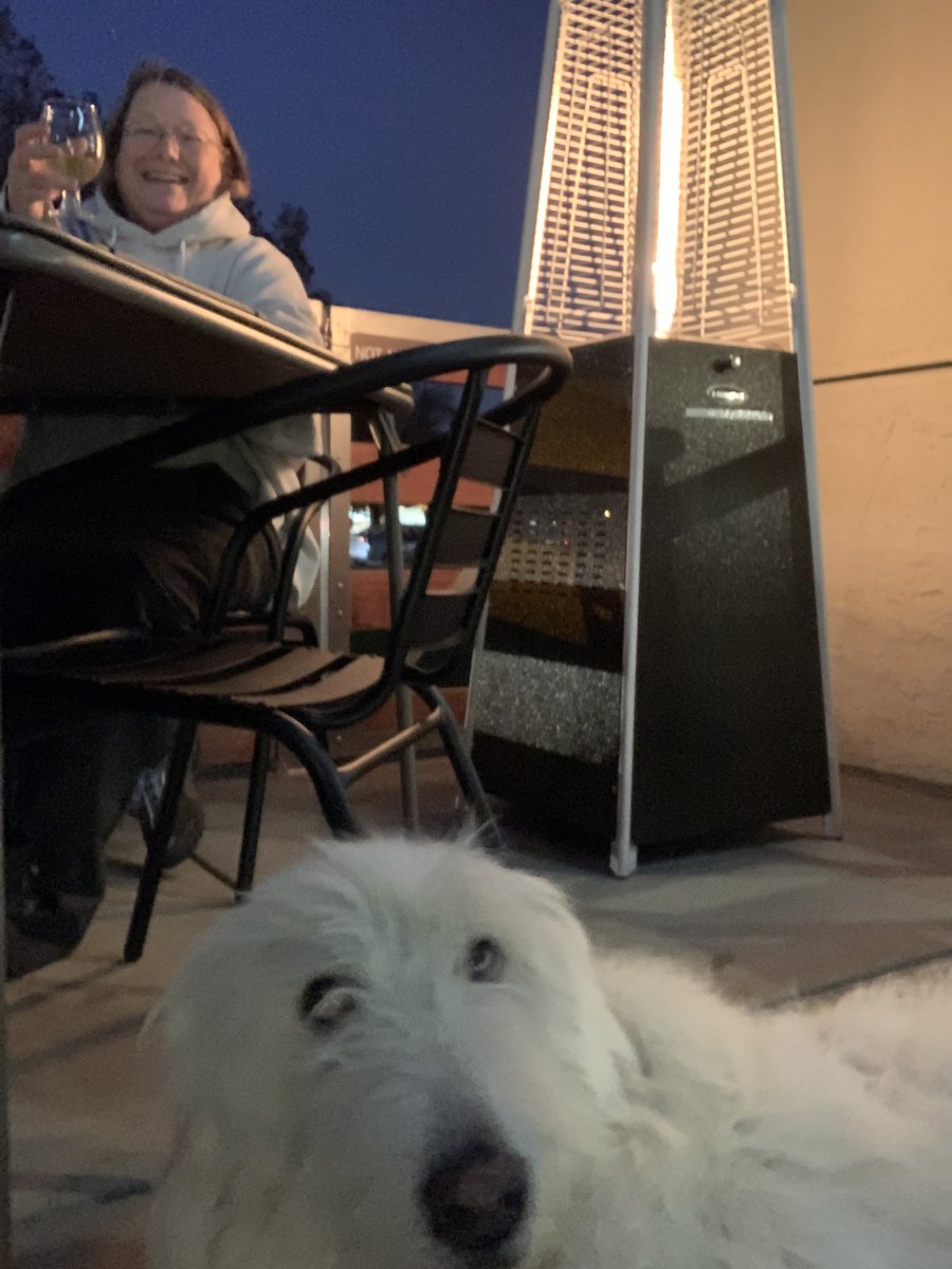 I iz on da patio @CiderJunction wif mom... oh dad too! #Barklee #greatwolfie #irishwolfhoundsofinstagram #irishwolfhound #greatpyreneesofinstagram #bigdogs #floofy #komondor #greatpyreneeskomondor #komondorsofinstagram #ciderdog @dogsofsanjose @dudeswithdogs #dogsatciderjunction