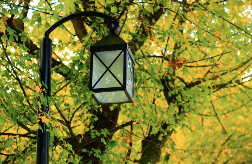 We also manufacture product by customer design. #outdoorlighting #urbanlighting