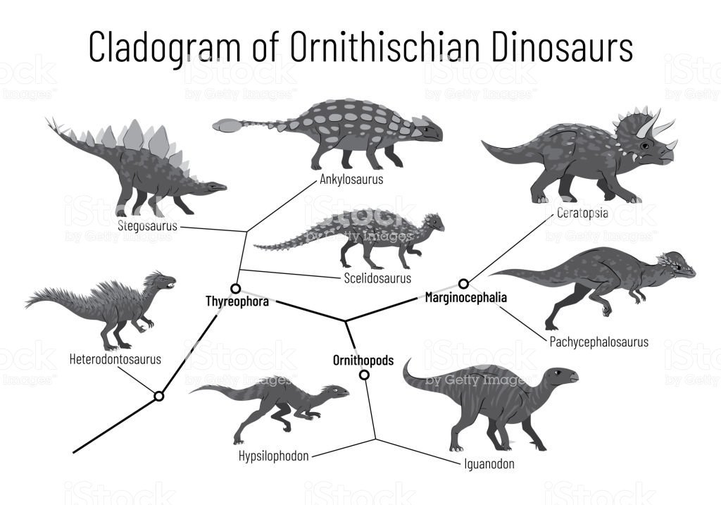 Cosmo Sapiens - Astronomía on Twitter: "Los dinosaurios ...