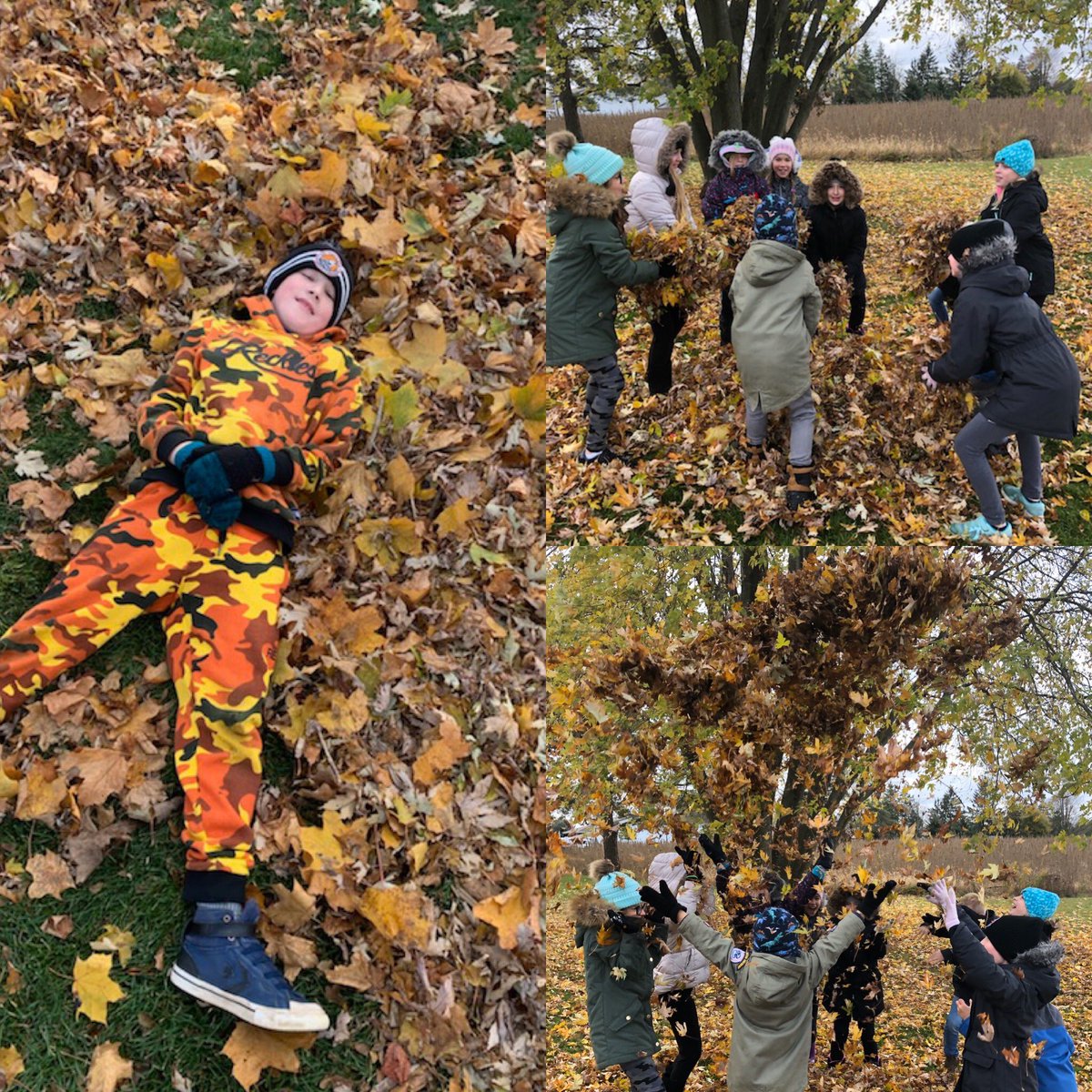 sttcatholic's tweet photo. Students are enjoying the fallen leaves on the playground today! #spotthestudent https://t.co/jLqcK1ciFR