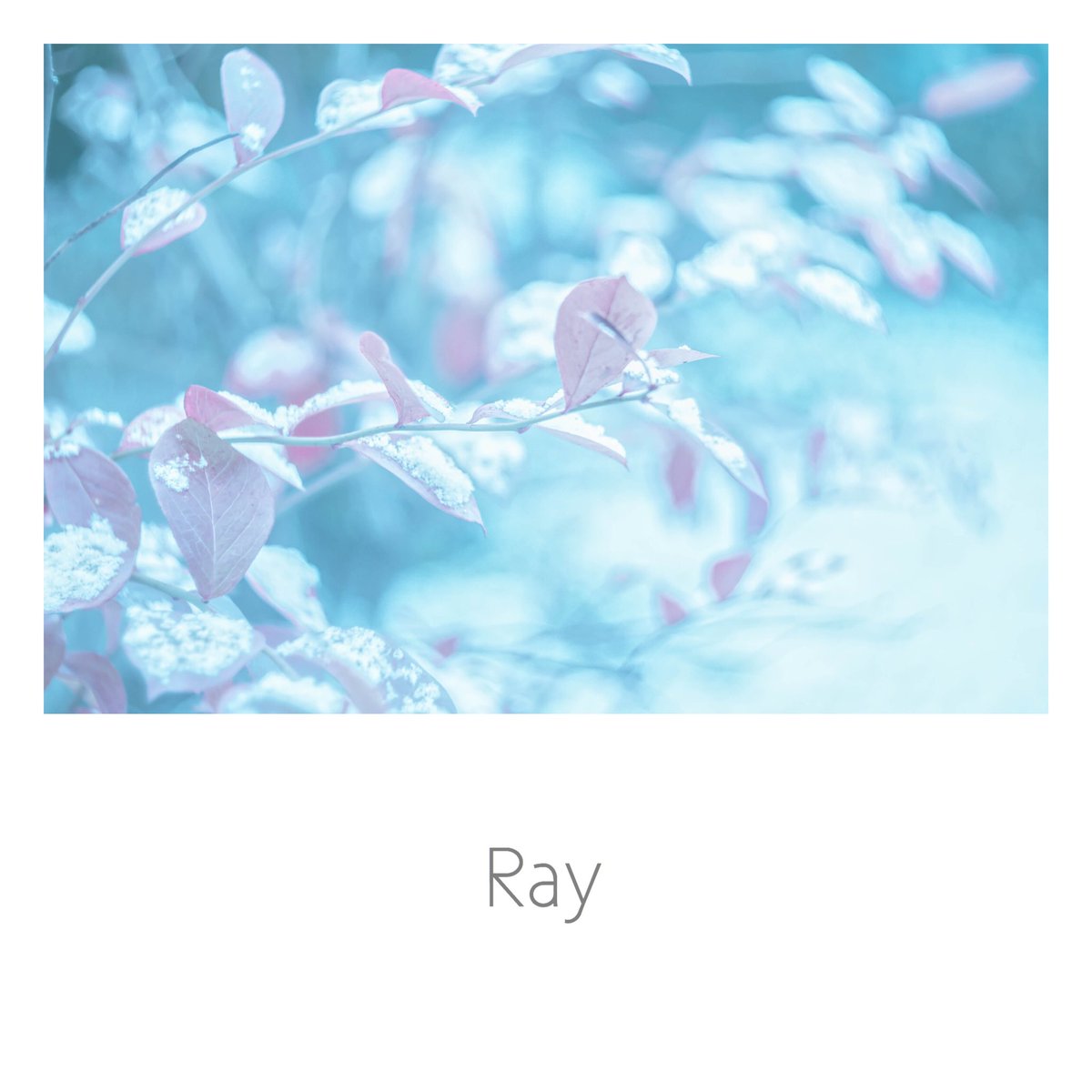 Ray (@bluebell_ray) / Posts / X