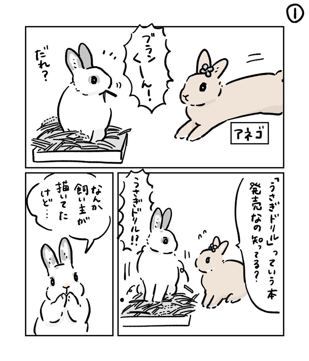 「うさぎドリル」、うさぎさんいっぱい描きました✨??
https://t.co/o7hCOElbbH 