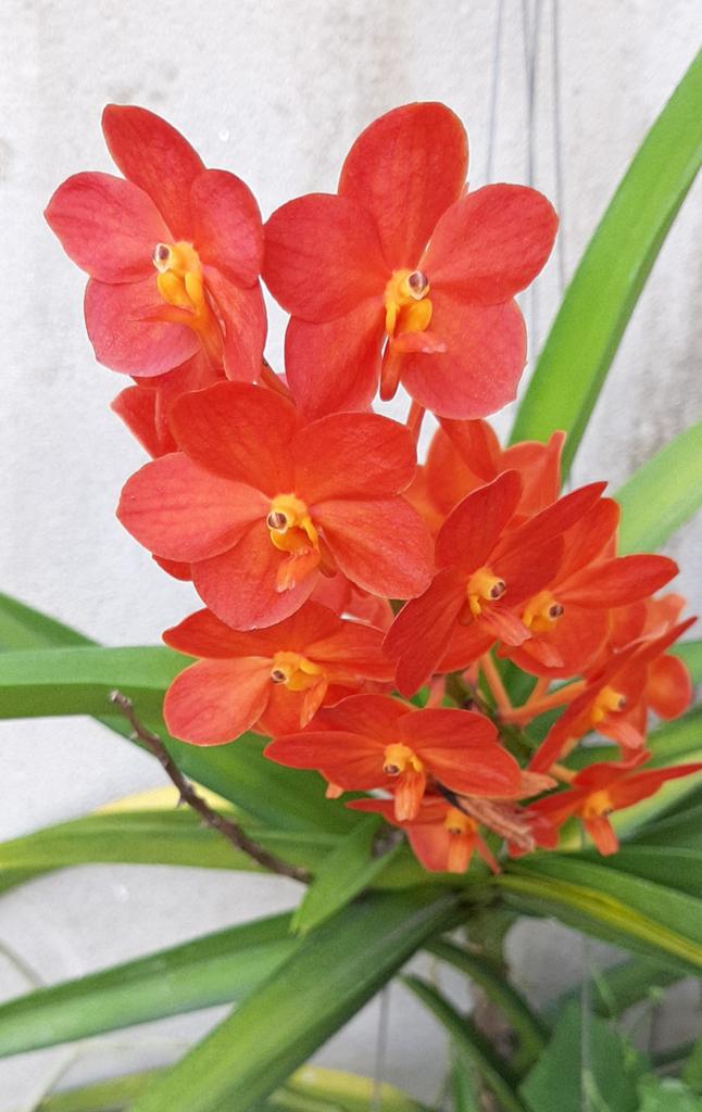 itool2000's tweet image. 