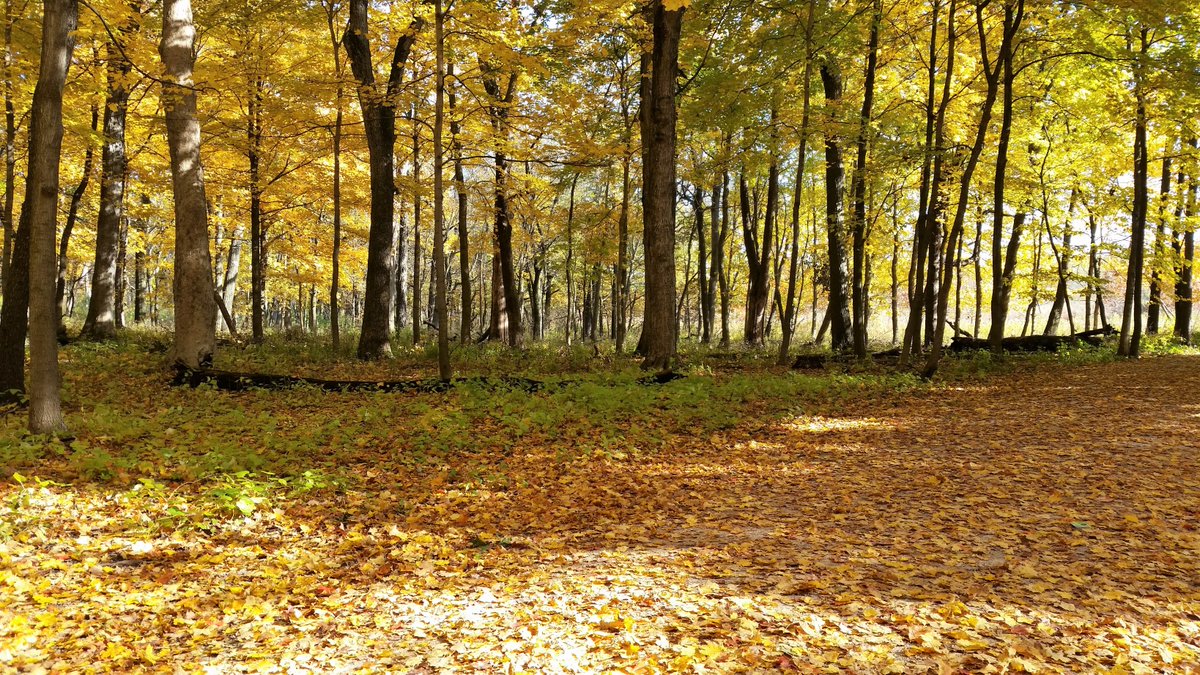 Looks like autumn, but feels like winter!  Back from hiking now &amp; warming up.  I've received some author copies of my soon-to-be-released novel &amp; it looks amazing!  Can't wait for everyone see it &amp; read it!  Tentative release date is Jan 1st (New Year's Day)!