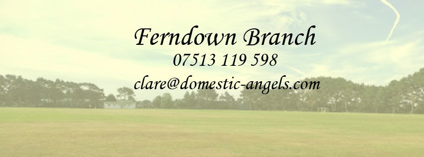 Ferndown branch of Domestic Angels offering weekly cleaning, spring cleaning, home help in the #Ferndown, #WestMoors, #WestParley &amp; #StIves areas of #Dorset 

💻 domestic-angels.com/ferndown/
☎️ 07513119598