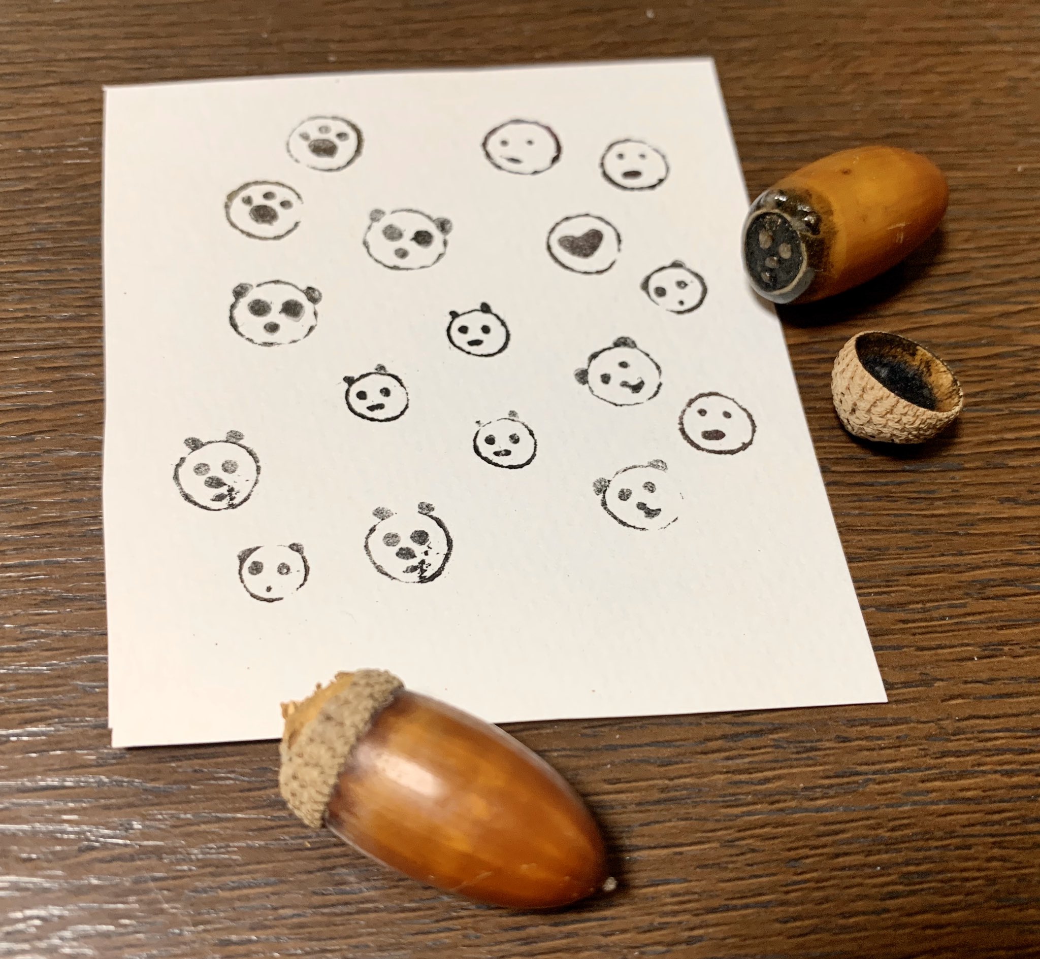 Inori マテバシイのドングリでハンコを作りました 大きなドングリを見つけて これがはんこになればいいのにな と思い 無理やりハンコにしてみました 帽子の中にインクを入れて判を押したかったのでした 木工用ボンドで出っ張り部分を作っています